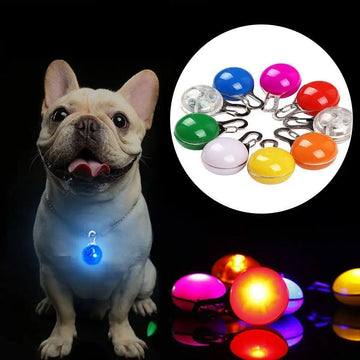 LED Dog Collar