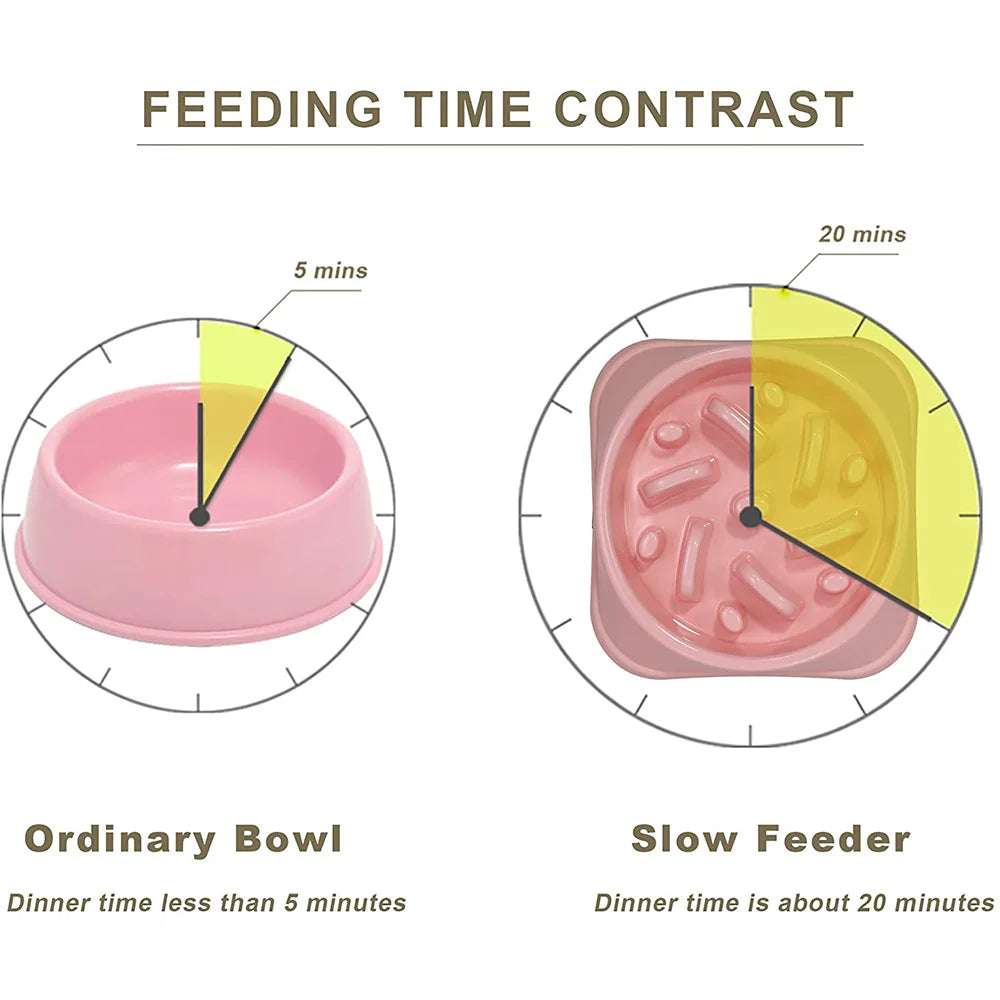 Slow Feeder Bowl