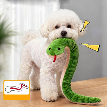 Interactive Cat Toy
