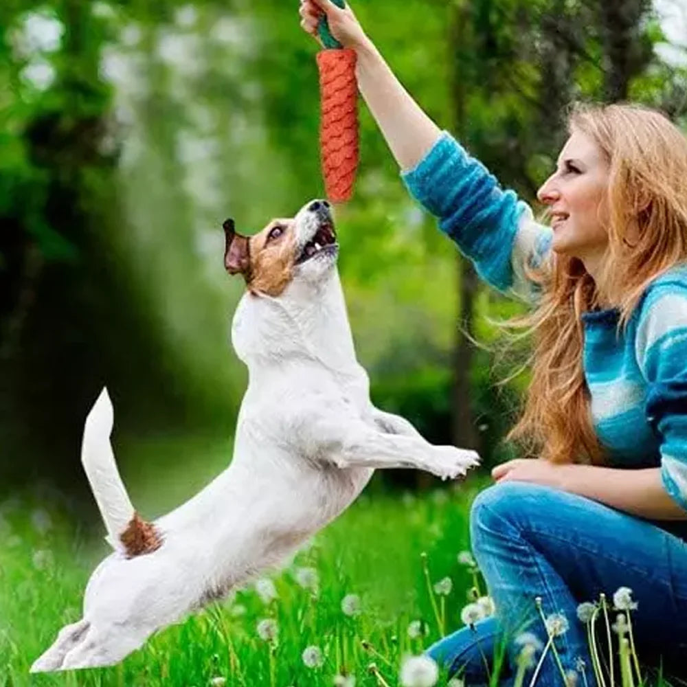 15PCS Pet Rope Toy Set