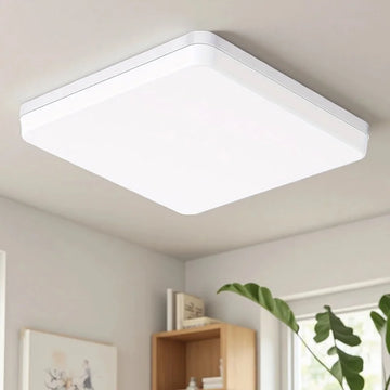 Modern LED Ceiling Light