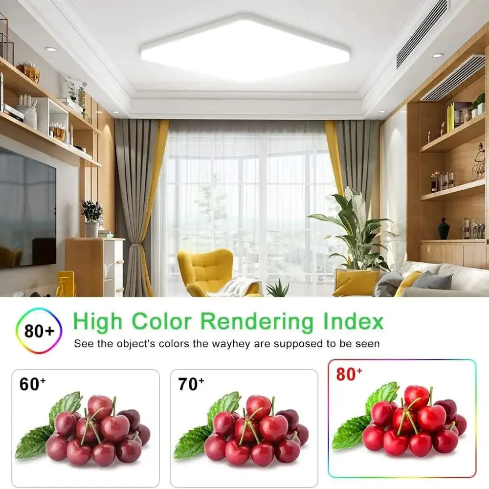 Modern LED Ceiling Light