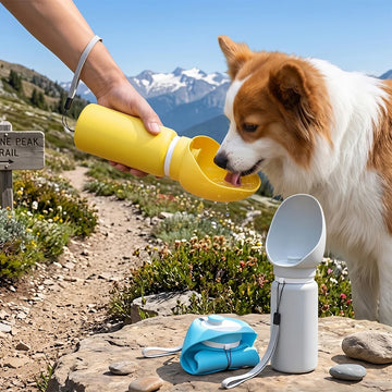 Portable Dog Water Bottle